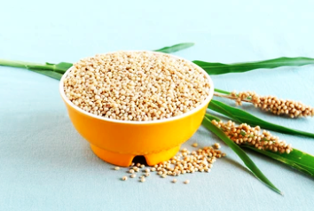 Jawar Seeds 5kg